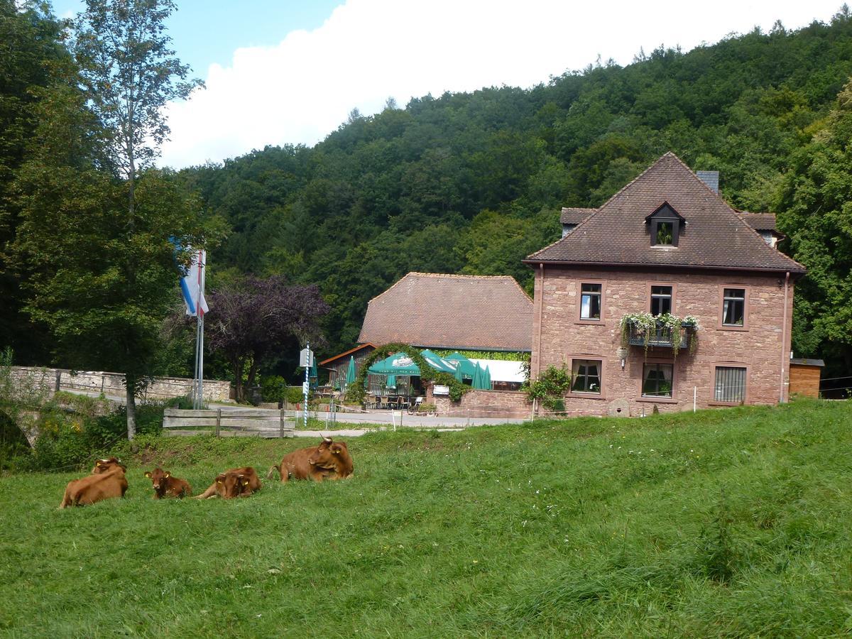 Hotelgasthof Buchenmuehle Lohr am Main Exterior photo
